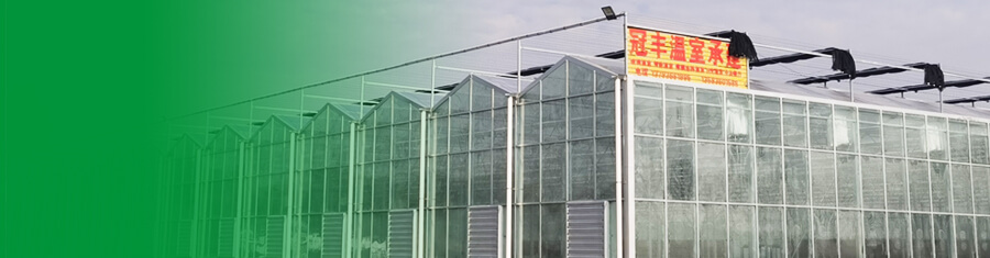 承建各种规格温室大棚工程