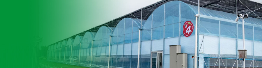 咨询温室大棚建造报价