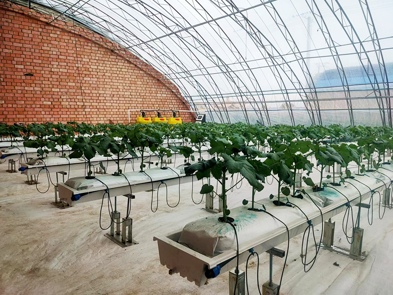 景观无土栽培