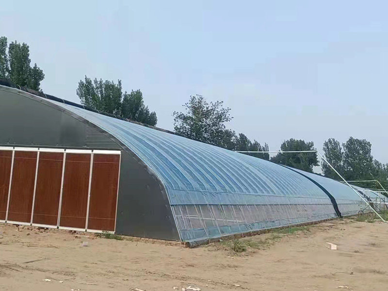 冬暖式大棚