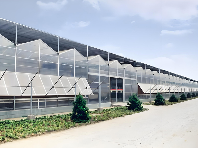 PC阳光板温室