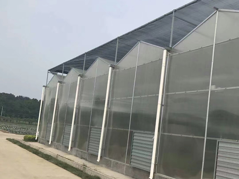 PC阳光板温室