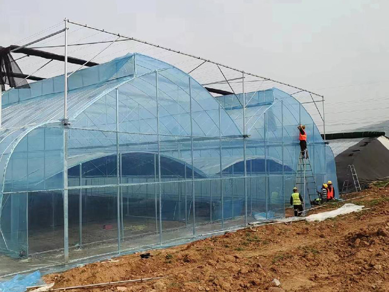 锯齿连栋薄膜温室