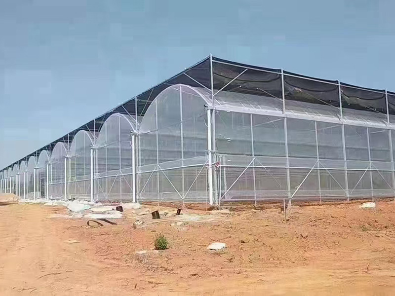 薄膜连栋温室