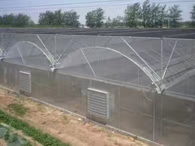 薄膜连栋温室