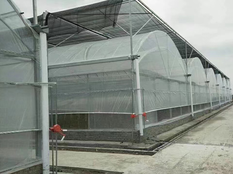 薄膜连栋温室
