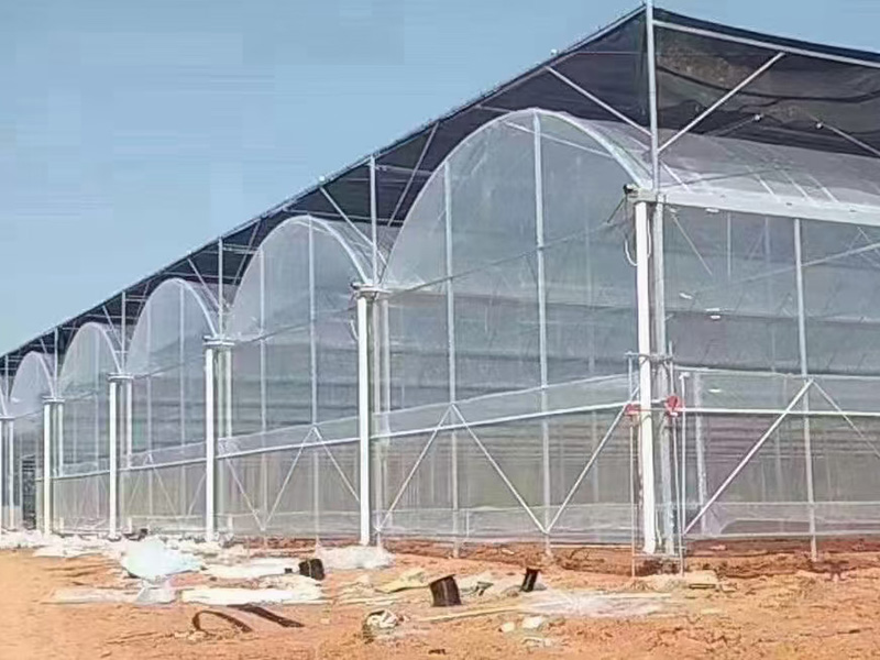 薄膜连栋温室