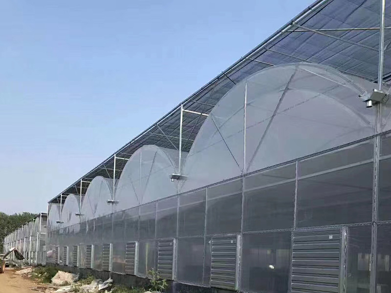 薄膜连栋温室